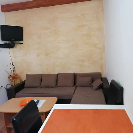 Milosavljevic Apartament Sokobanja