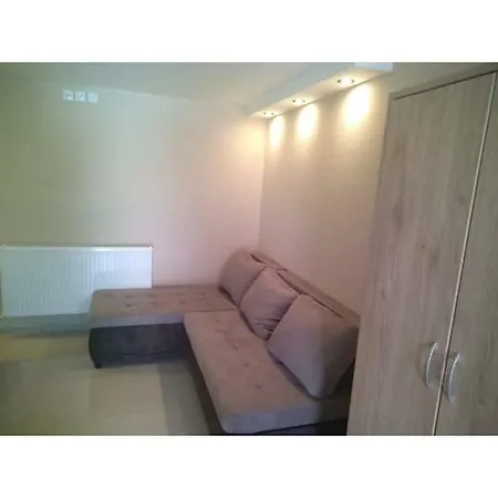Milosavljevic Apartament Sokobanja