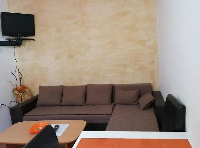 Milosavljevic Apartman Soko Banja